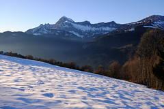 Les Saisies, Crest-Voland (2026-01)