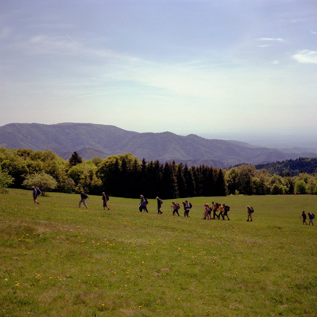 Vosges