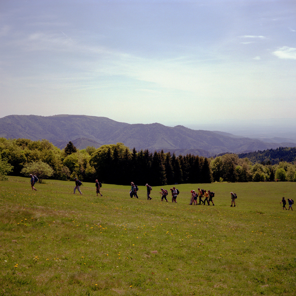 Vosges