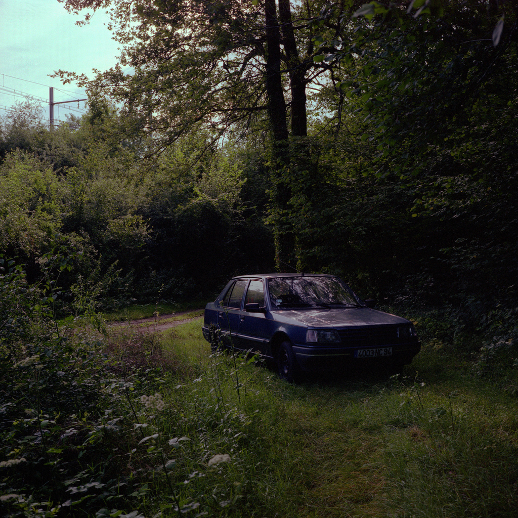 La voiture, garée dans la foret.