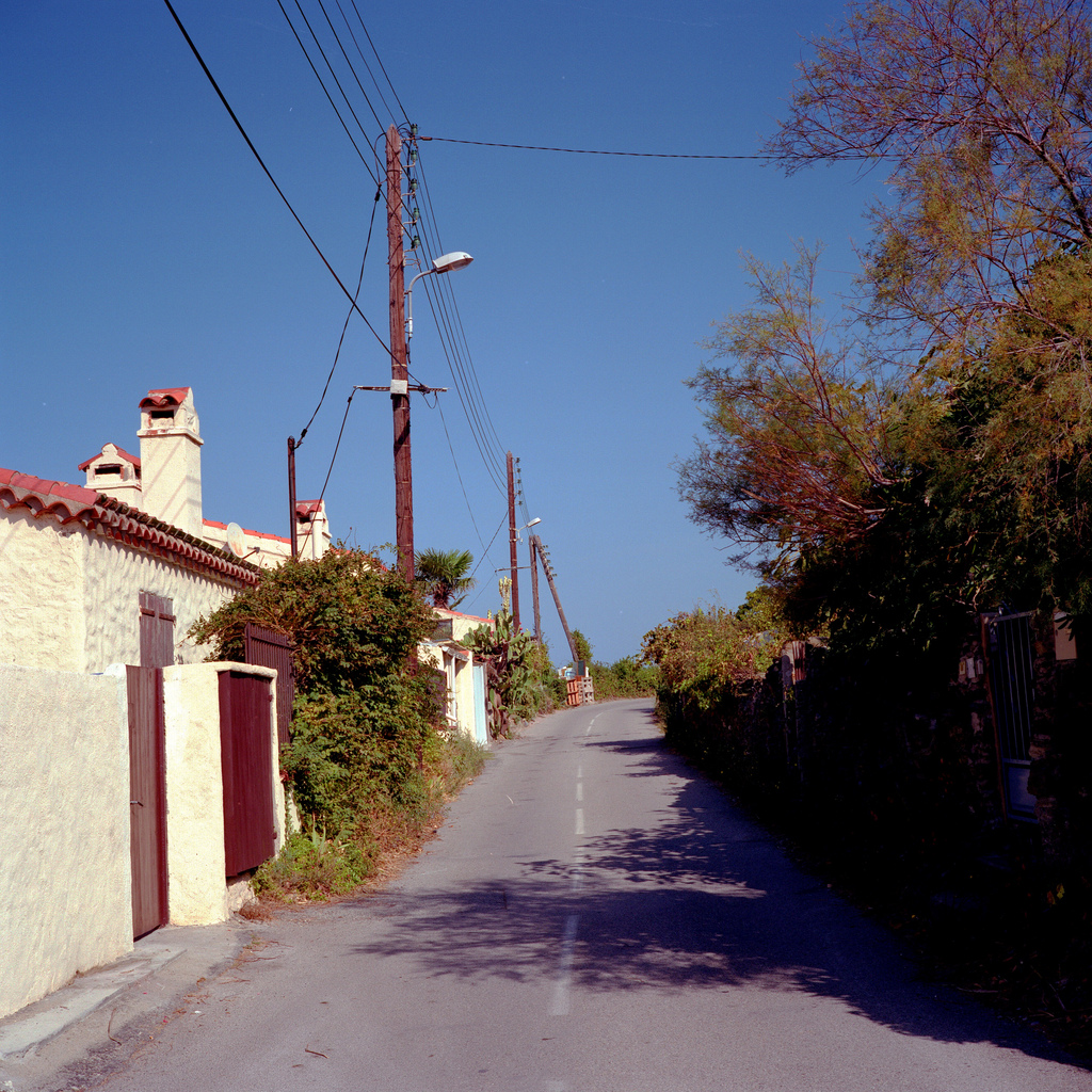 Rue