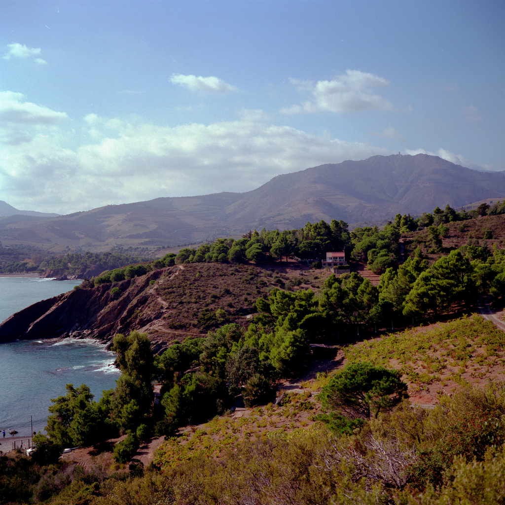 Au bord de la mer