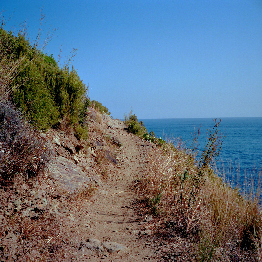 Au bord de la mer