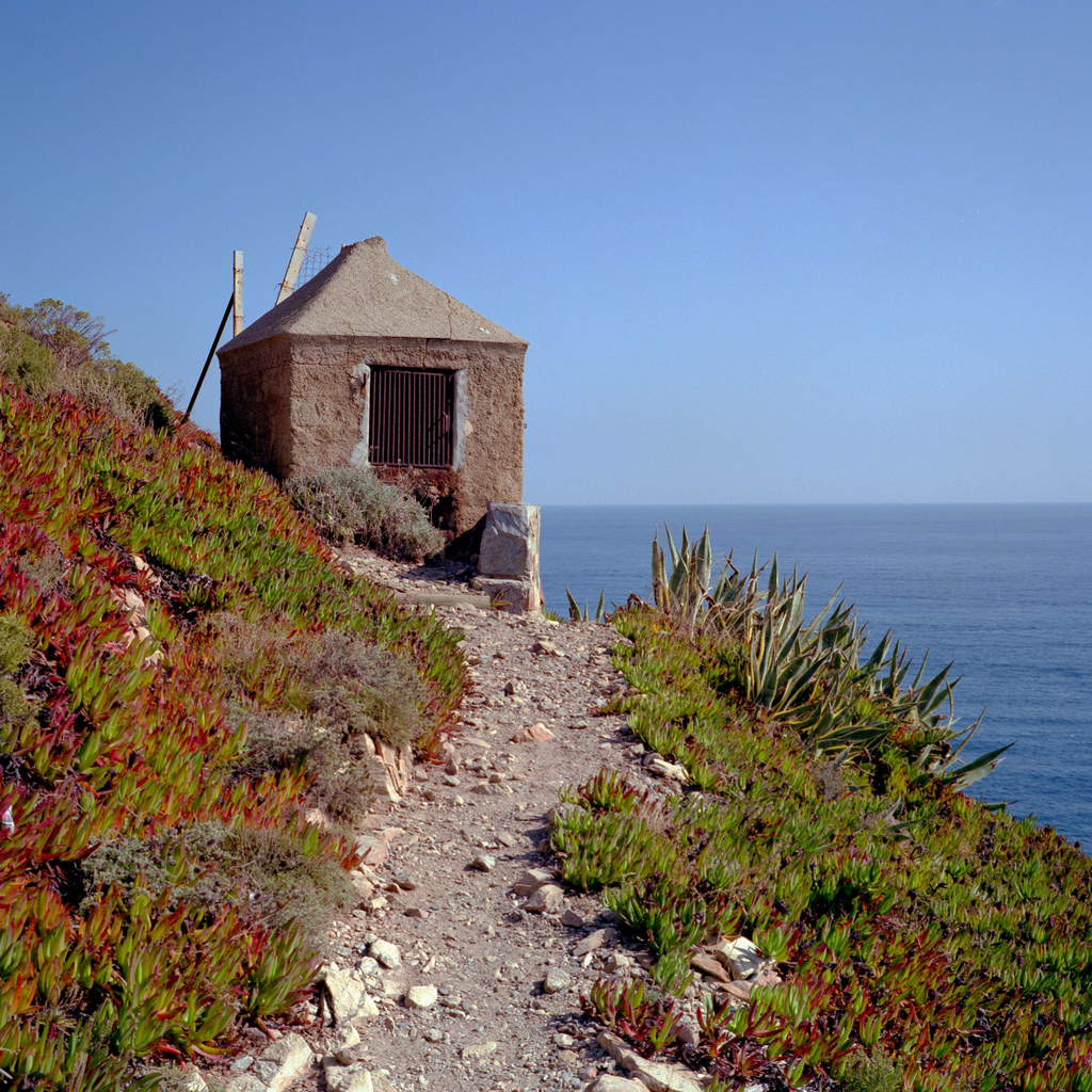 Au bord de la mer