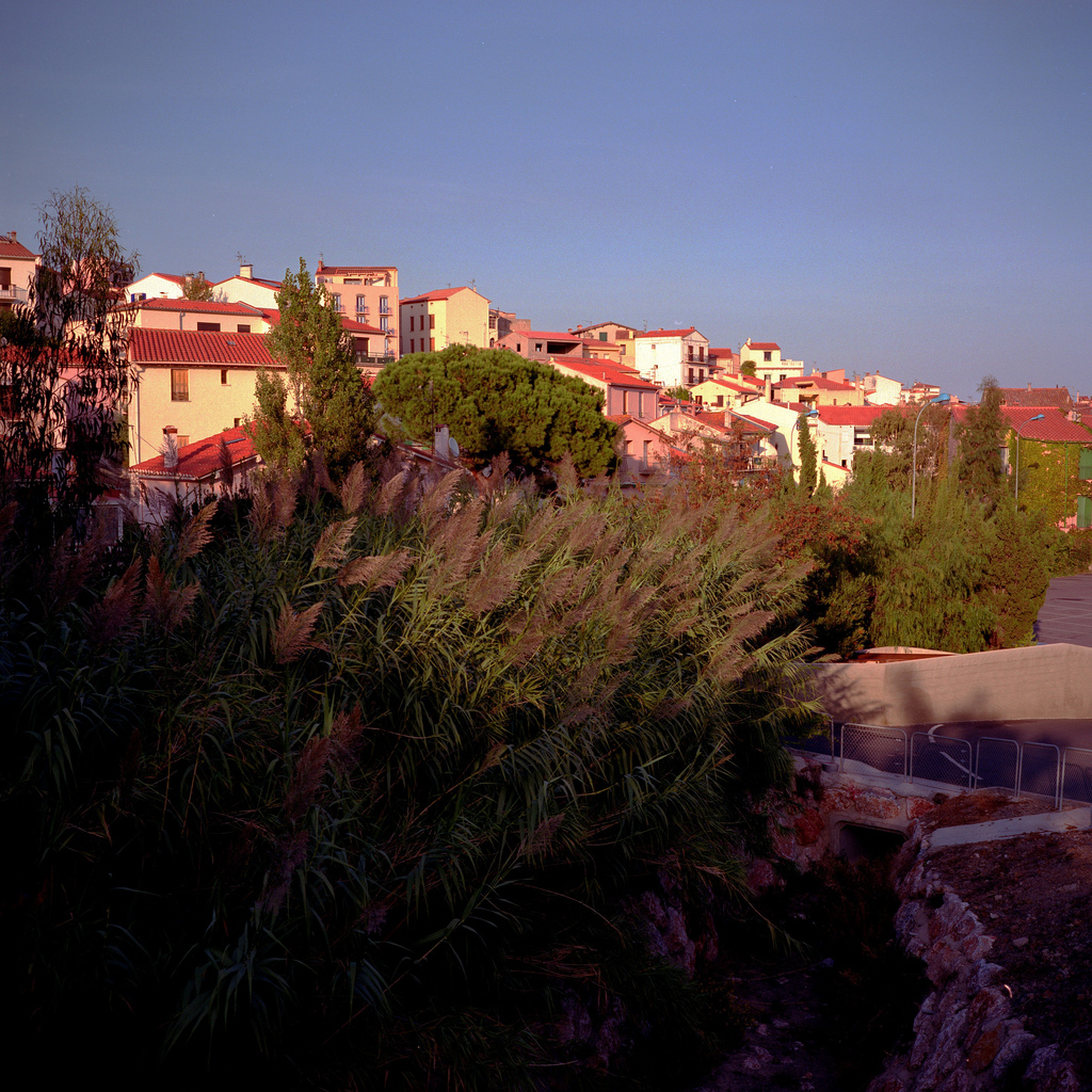 Banyuls-sur-Mer