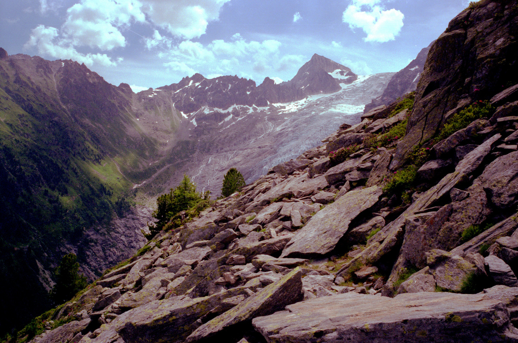 Glacier du Trient