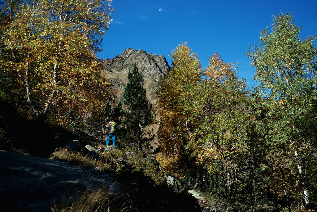 Dans les Pyrénées