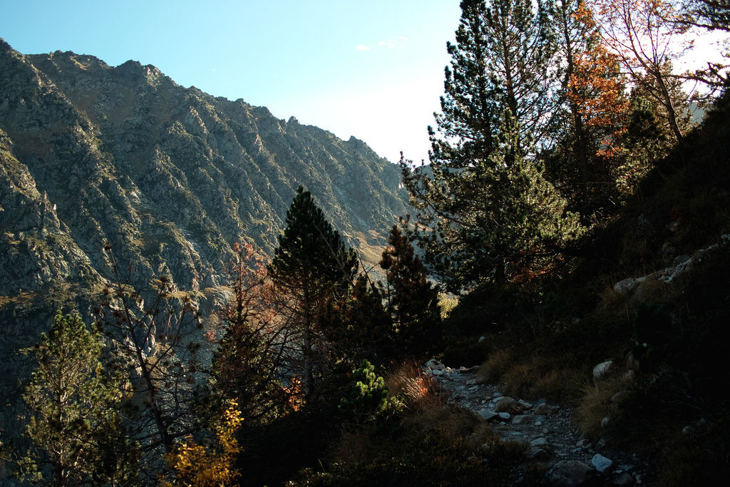 Dans les Pyr&eacute;n&eacute;es