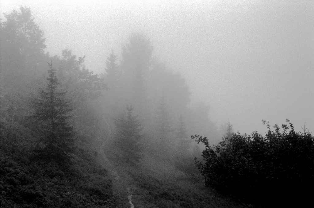 Du brouillard