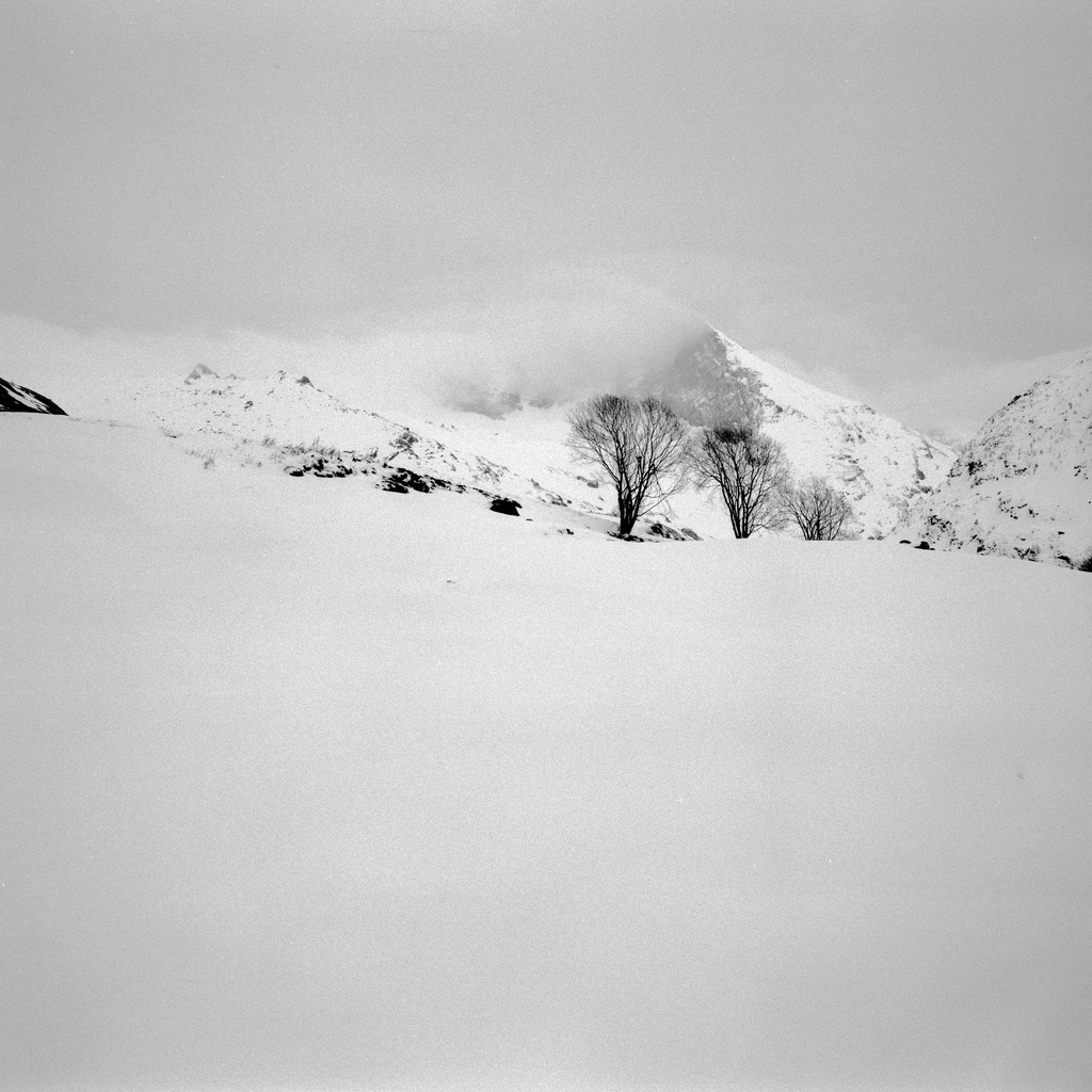 Vall&eacute;e d'Av&eacute;role