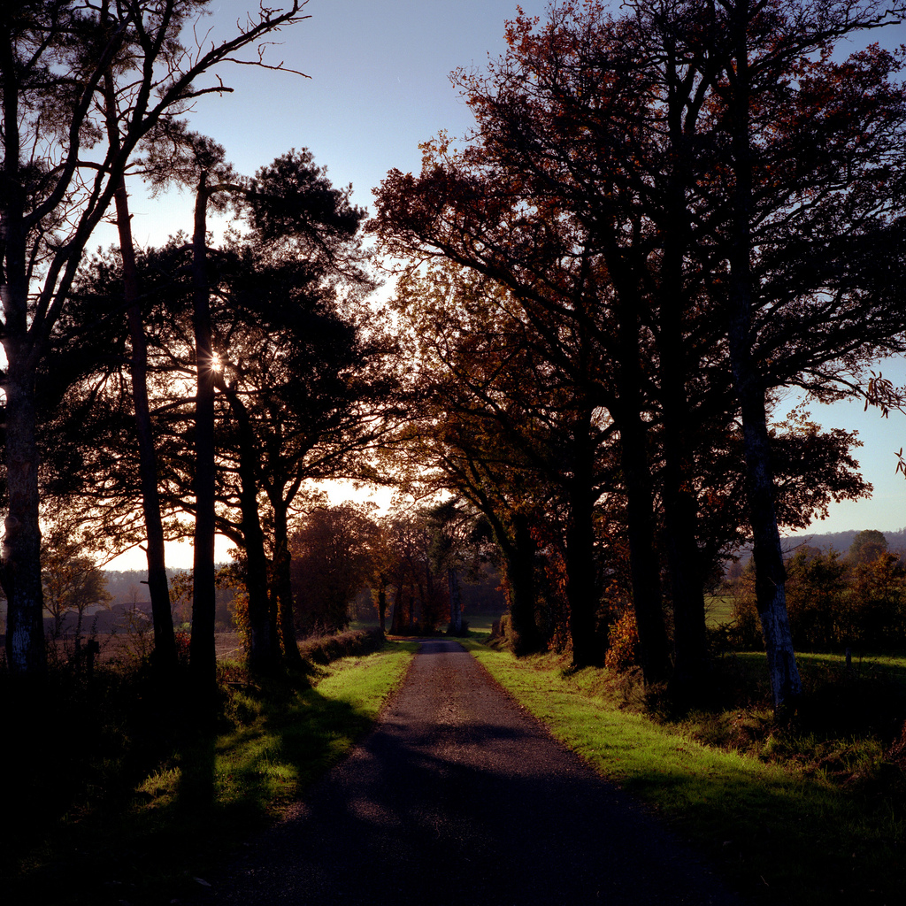 Une route &agrave; la campagne
