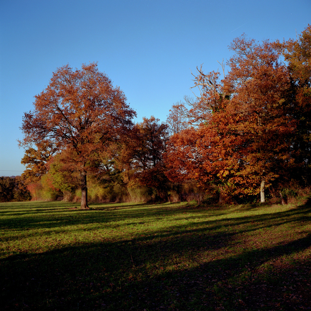 &Agrave; la campagne