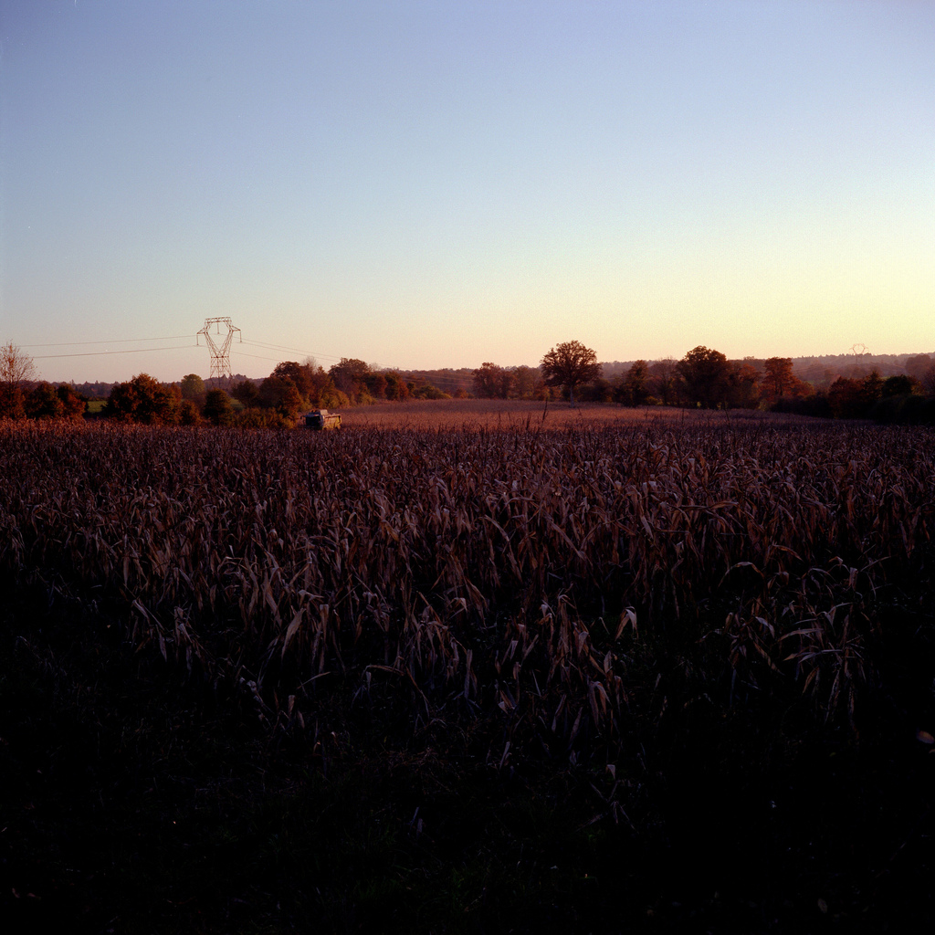 &Agrave; la campagne