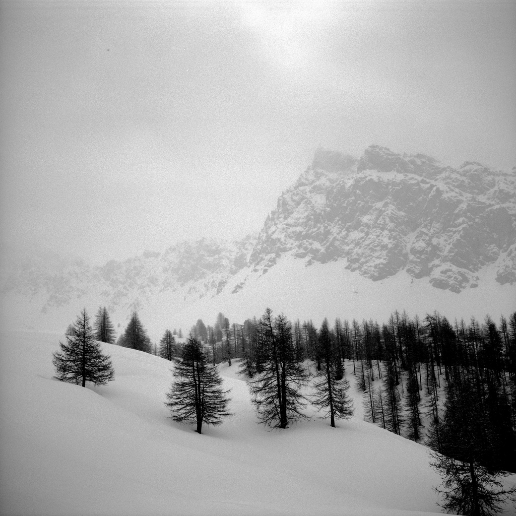 Queyras