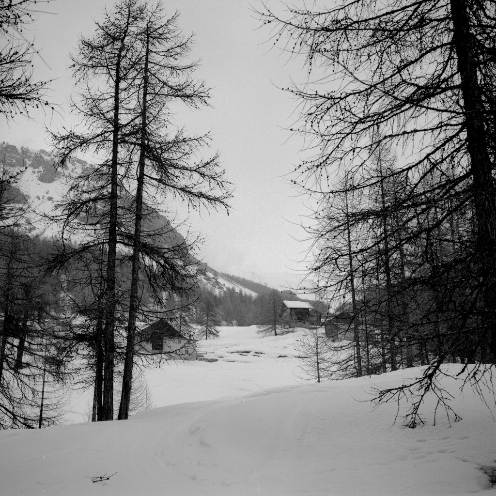 Queyras