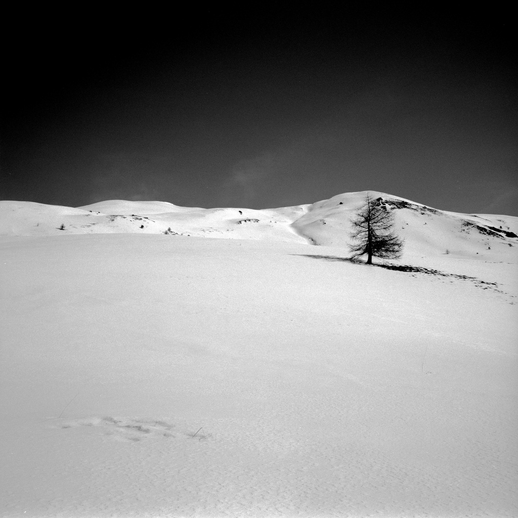 Queyras