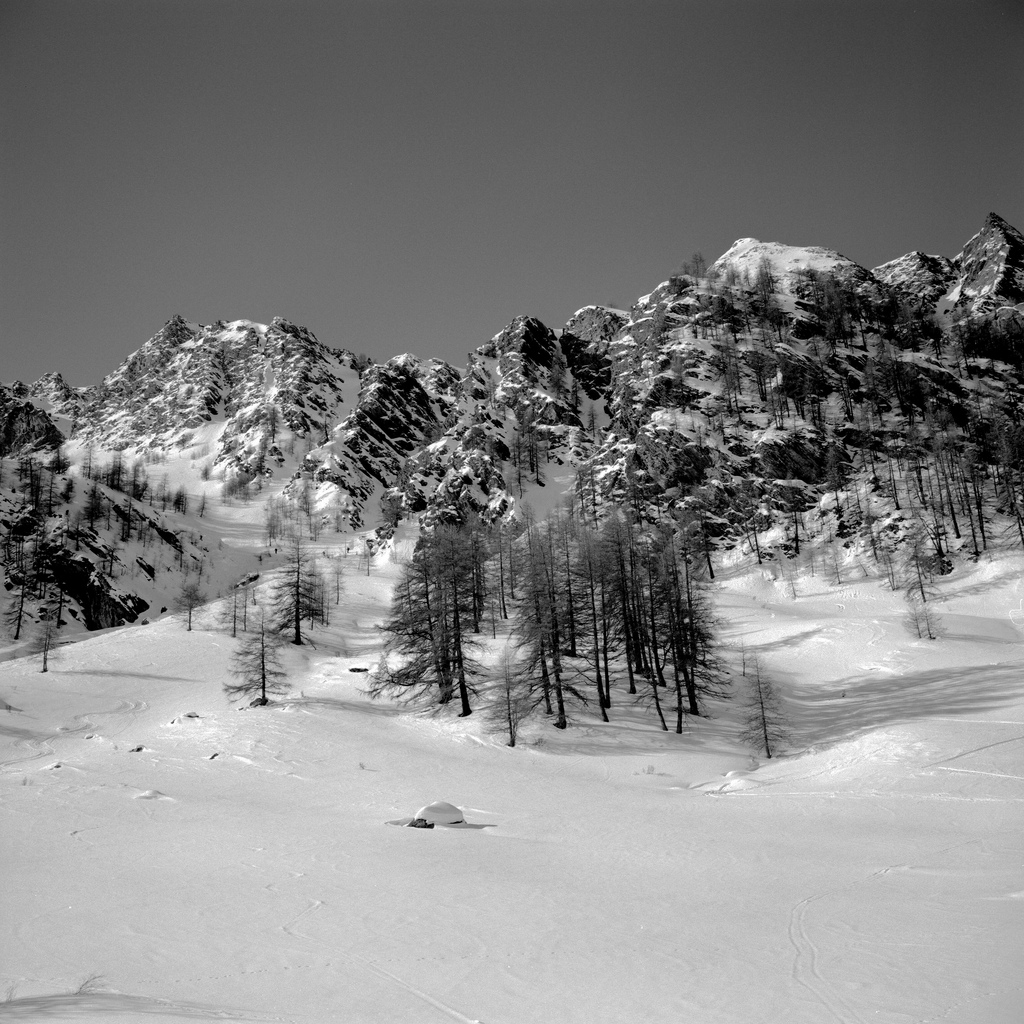 Queyras