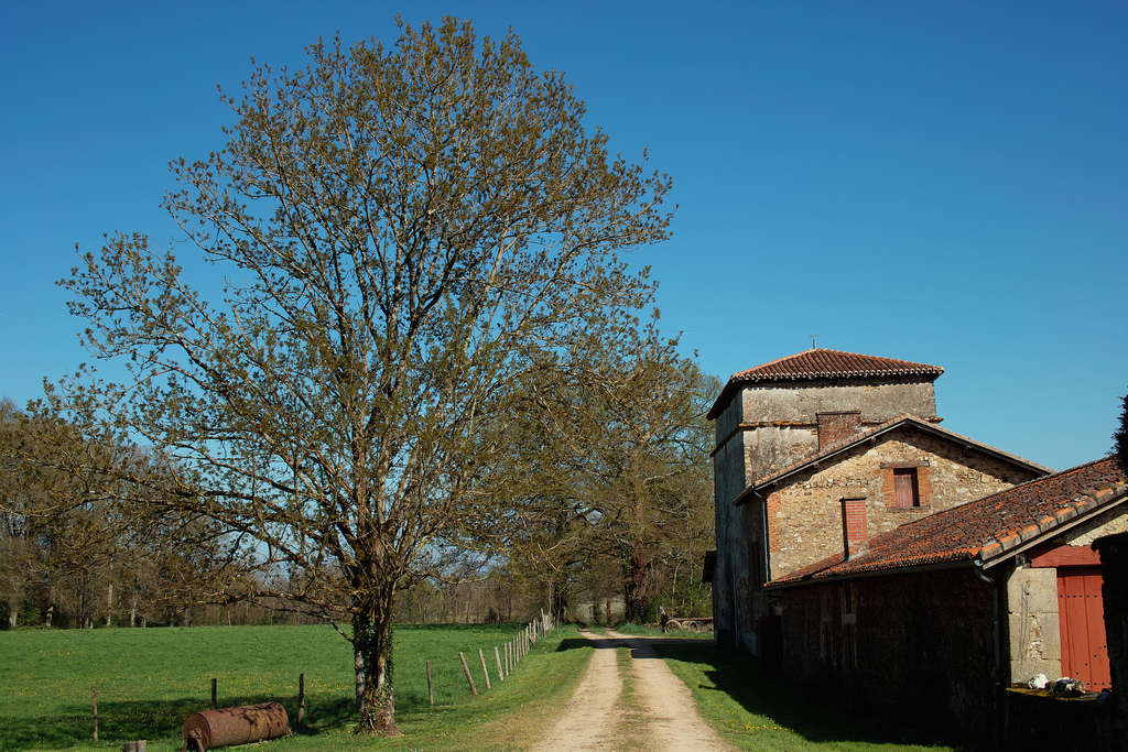 Chateau de Rochebrune