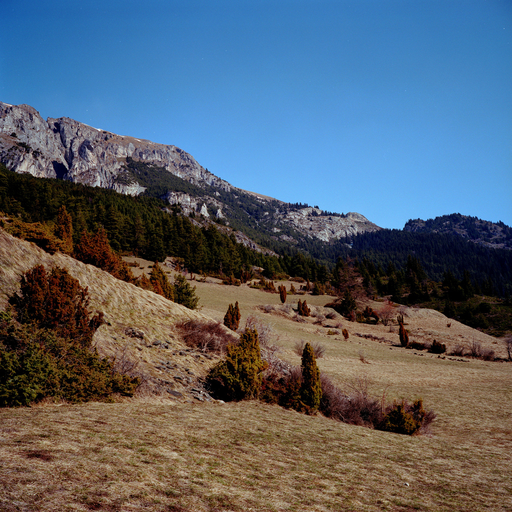 Lanslevillard